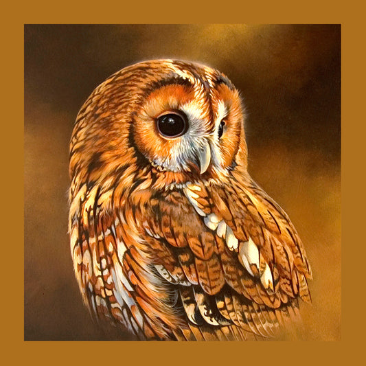 Tawny Owl I Cushion