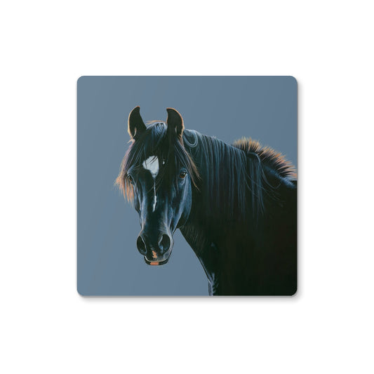 Black Horse II Coaster