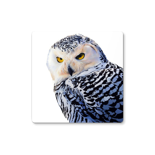Snowy Owl Coaster