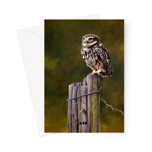 Little Owl Greeting Card