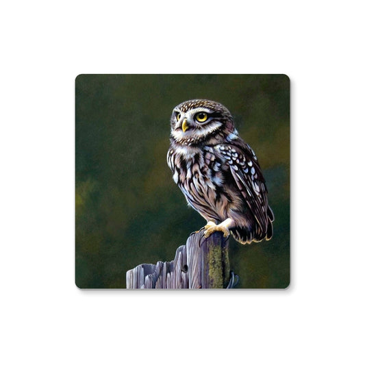 Little Owl Coaster