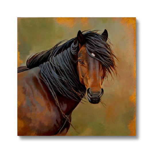 New Forest Pony Canvas