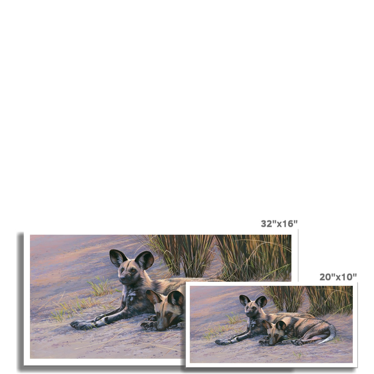 The Sisters (Painted Dogs) Hahnemühle Photo Rag Print