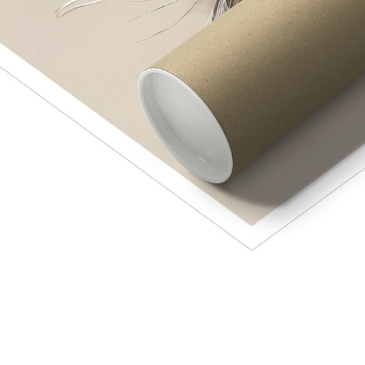 Tawny Owl Feather Hahnemühle Photo Rag Print