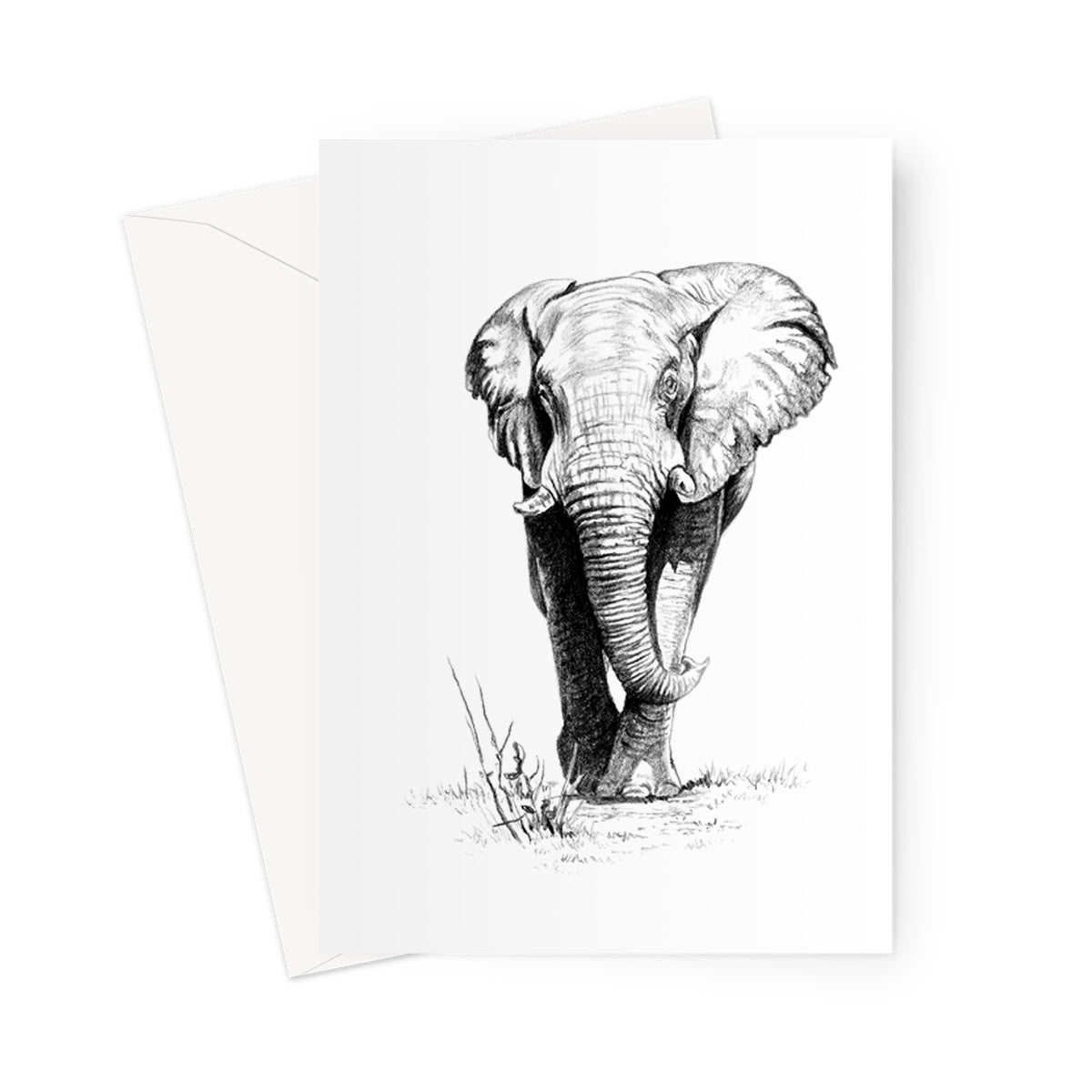 Bull Elephant Greeting Card