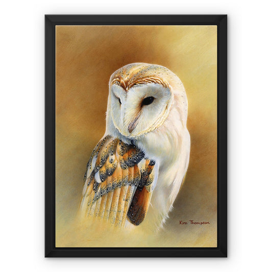 Barn Owl Study Framed Canvas