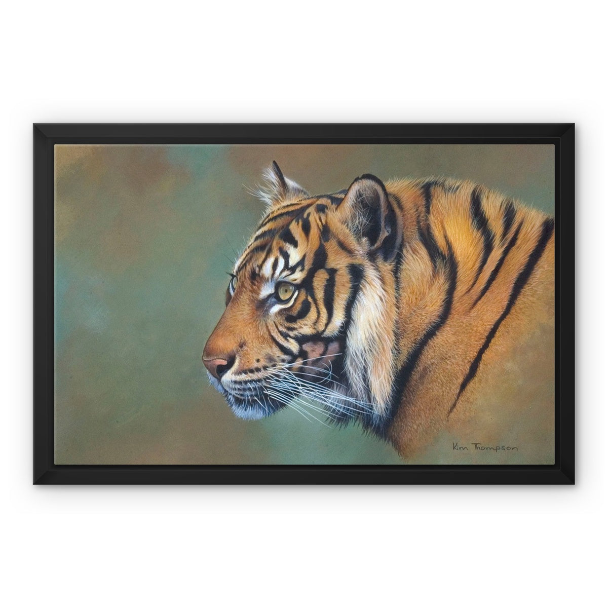 Indian Tiger Framed Canvas