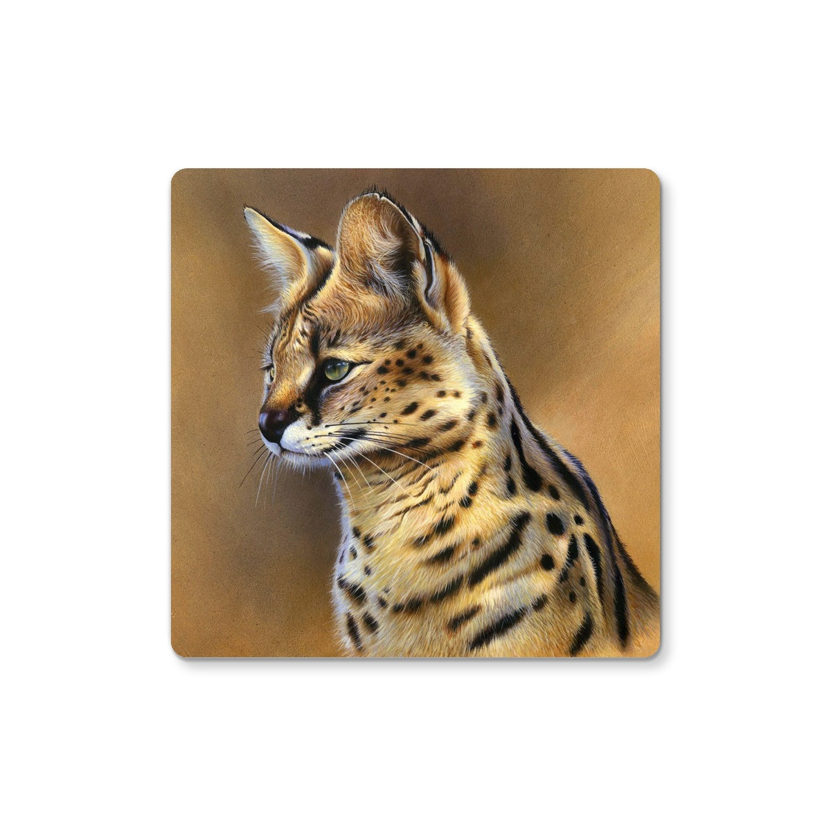 Serval Coaster