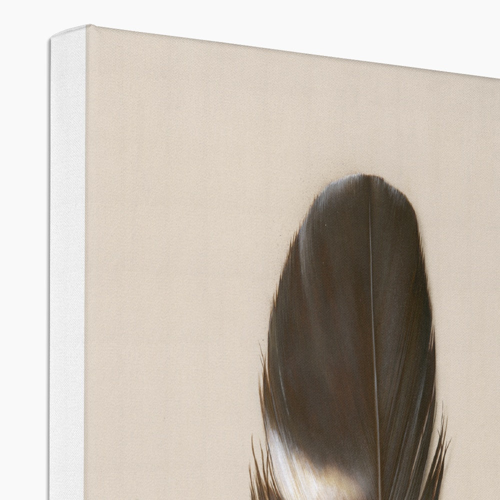 Tawny Owl Feather Canvas