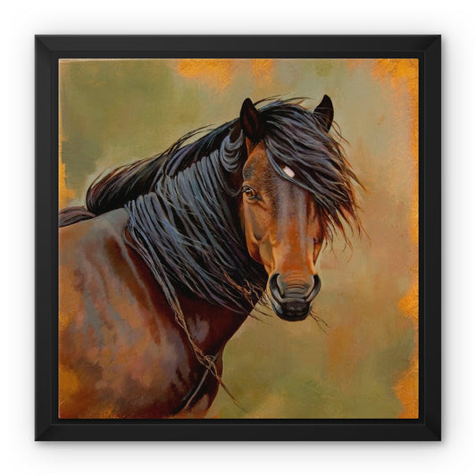 New Forest Pony Framed Canvas