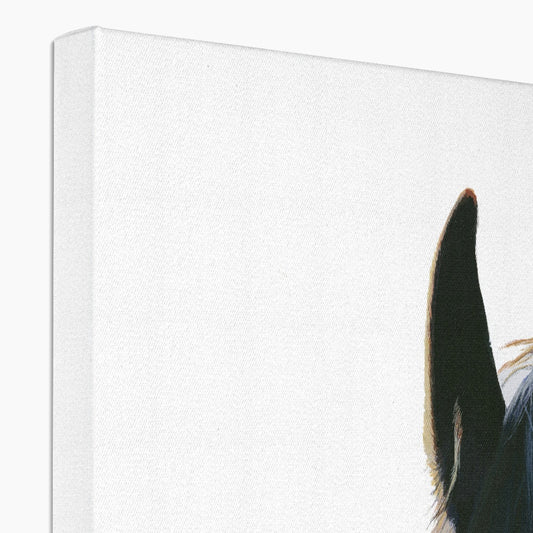 The Black Horse Canvas