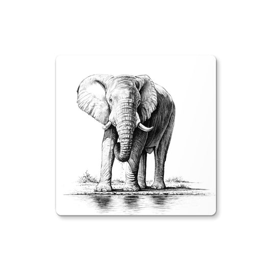 Elephant River Coaster