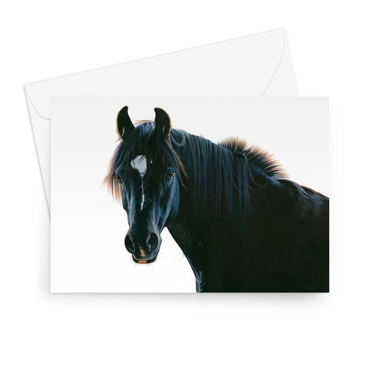 The Black Horse Greeting Card