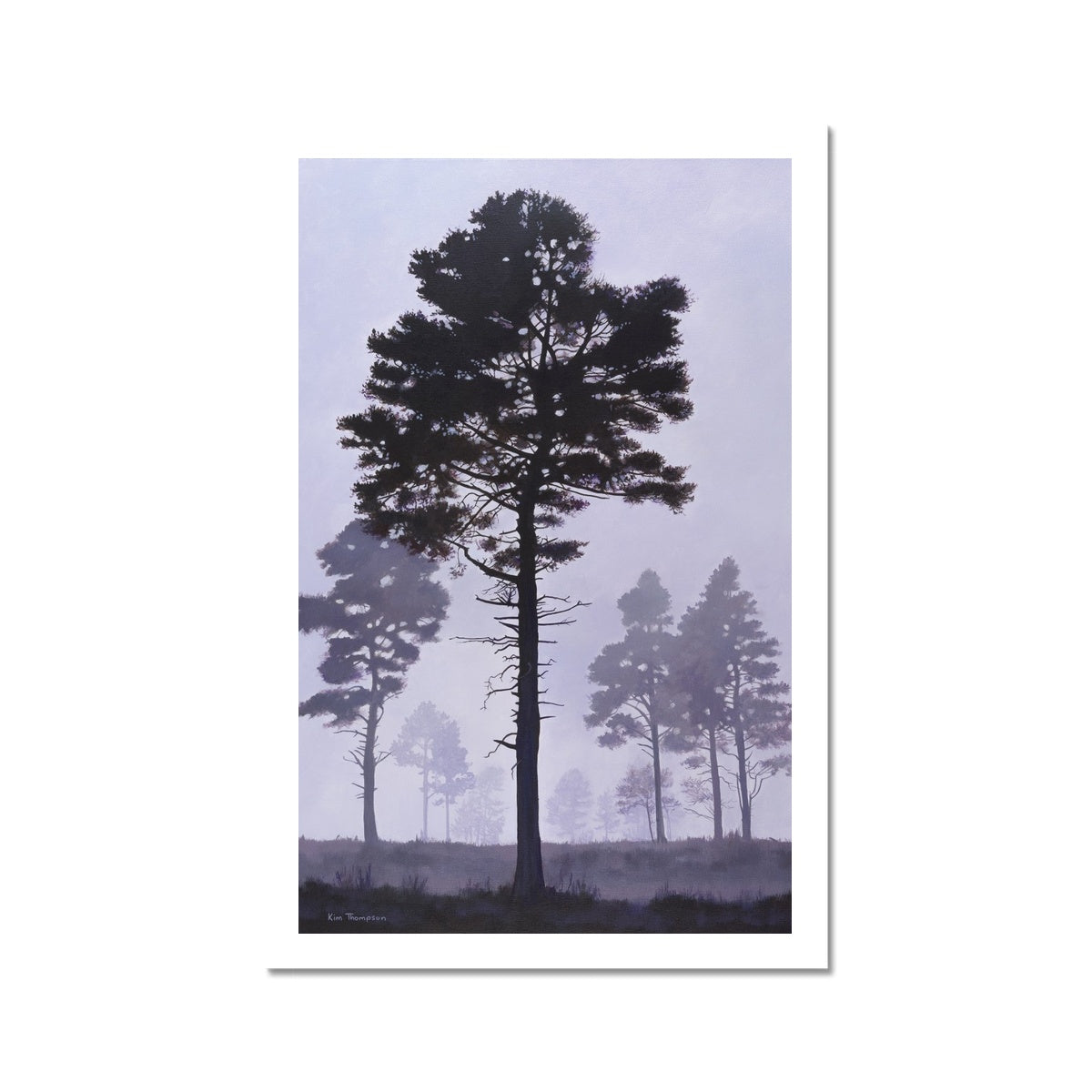 New Forest Mist Hahnemühle Photo Rag Print