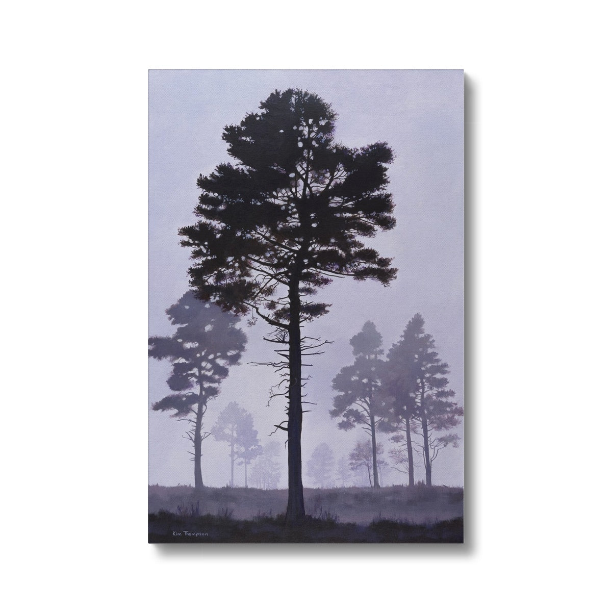 New Forest Mist Canvas