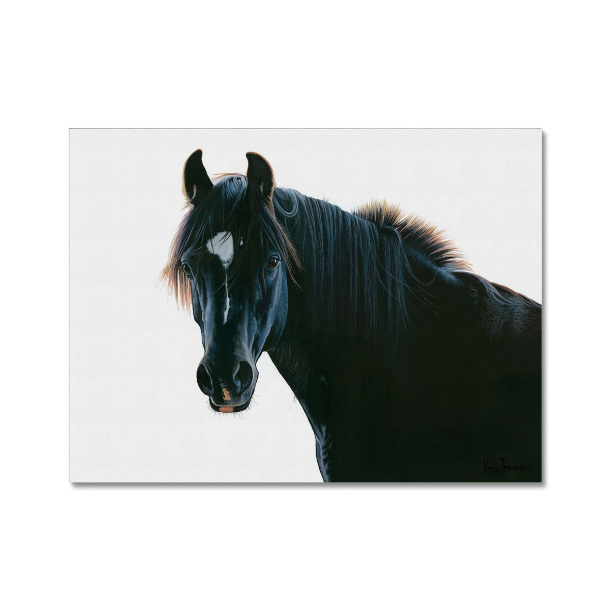 The Black Horse Canvas