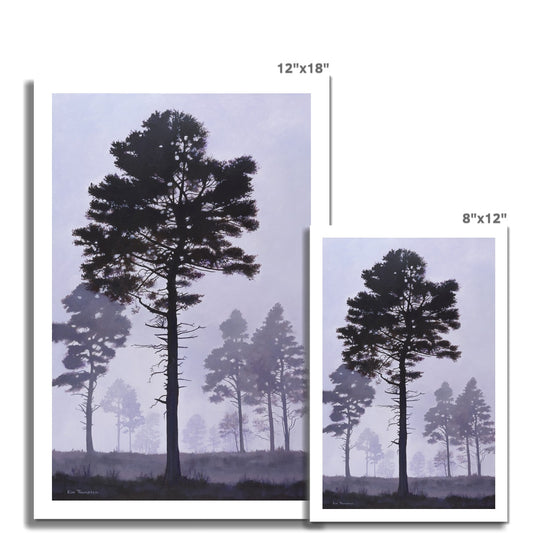 New Forest Mist Hahnemühle Photo Rag Print