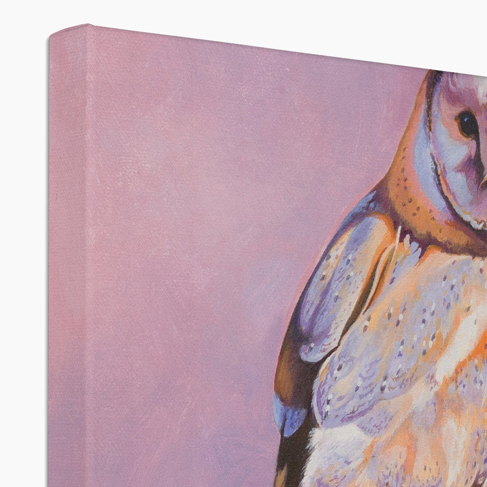 Barn Owl Sunset Canvas