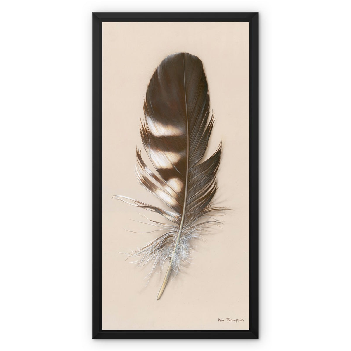 Tawny Owl Feather Framed Canvas