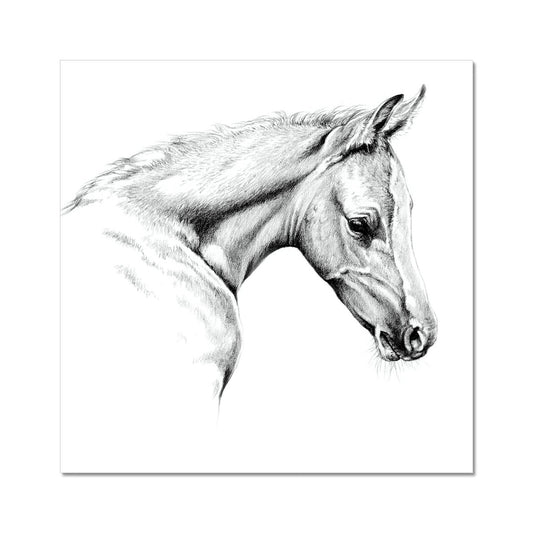 Little One Hahnemühle Photo Rag Print