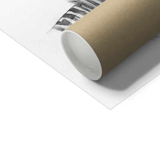 Zebra Portrait Hahnemühle Photo Rag Print