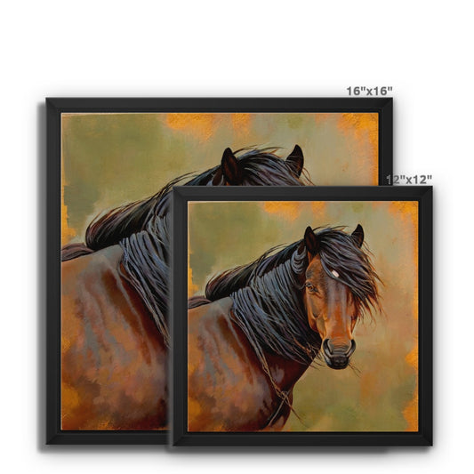 New Forest Pony Framed Canvas