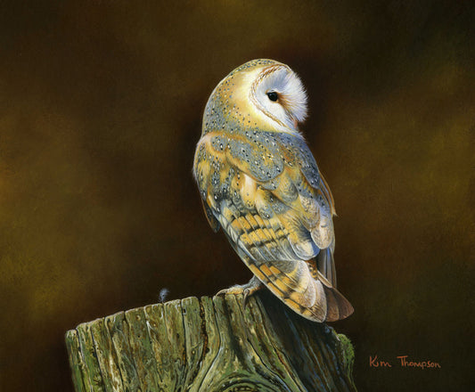 "Barn Owl and Feather" Limited Edition