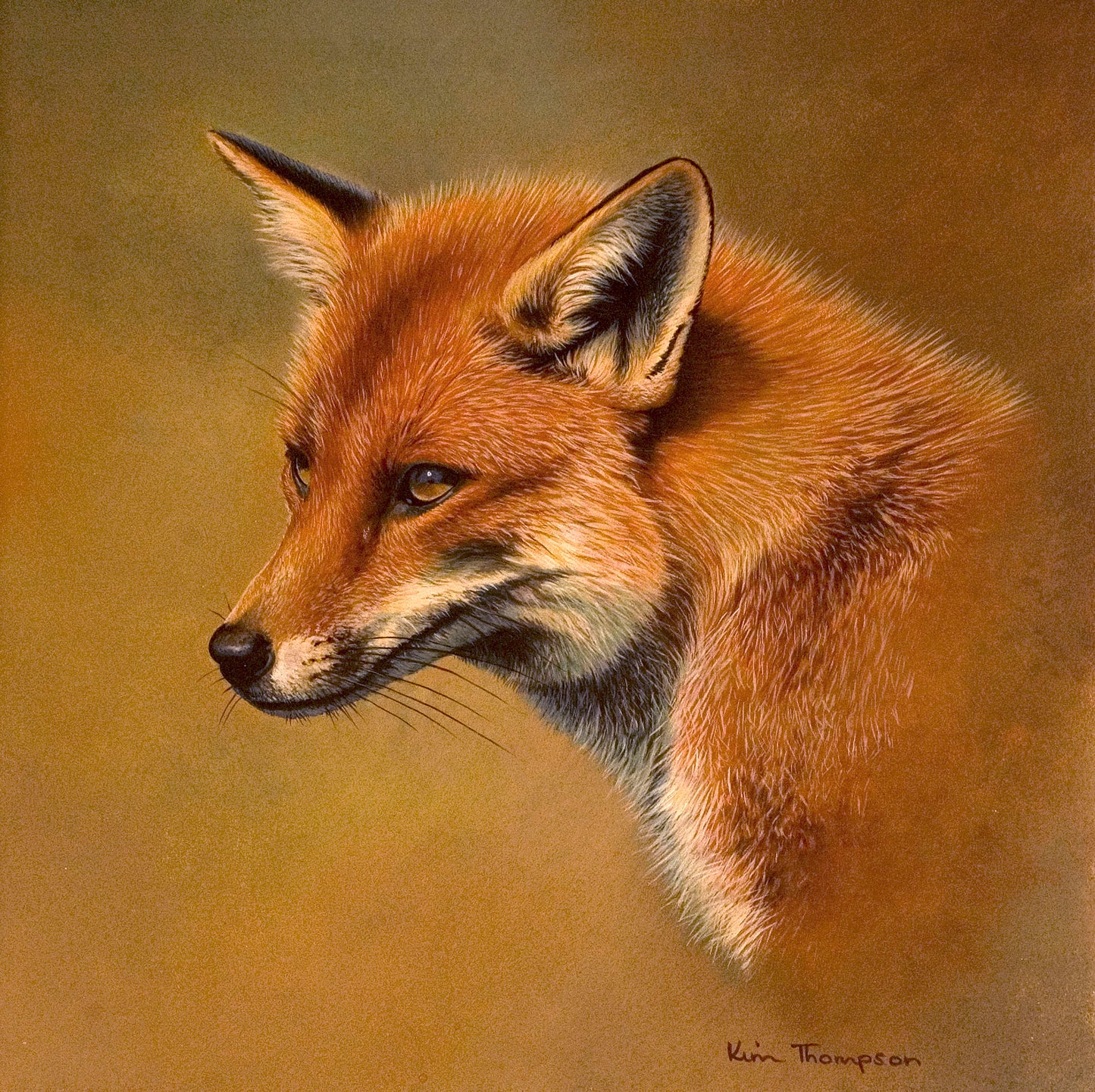 Fox Portrait Limited Edition