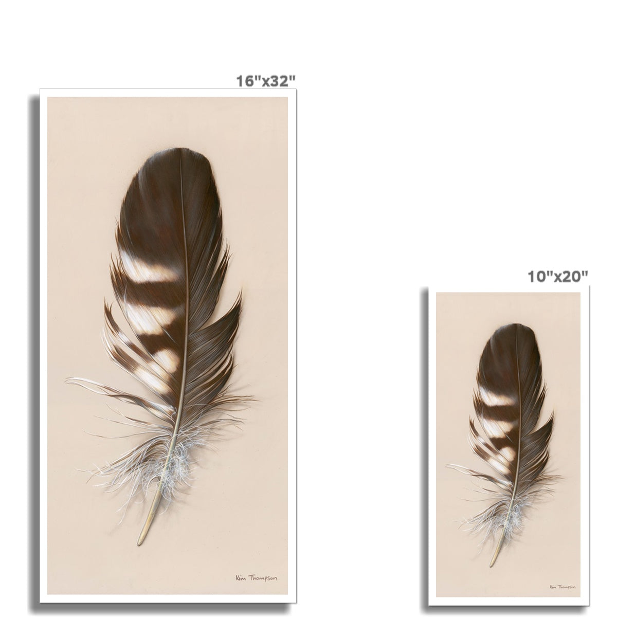 Tawny Owl Feather Hahnemühle Photo Rag Print
