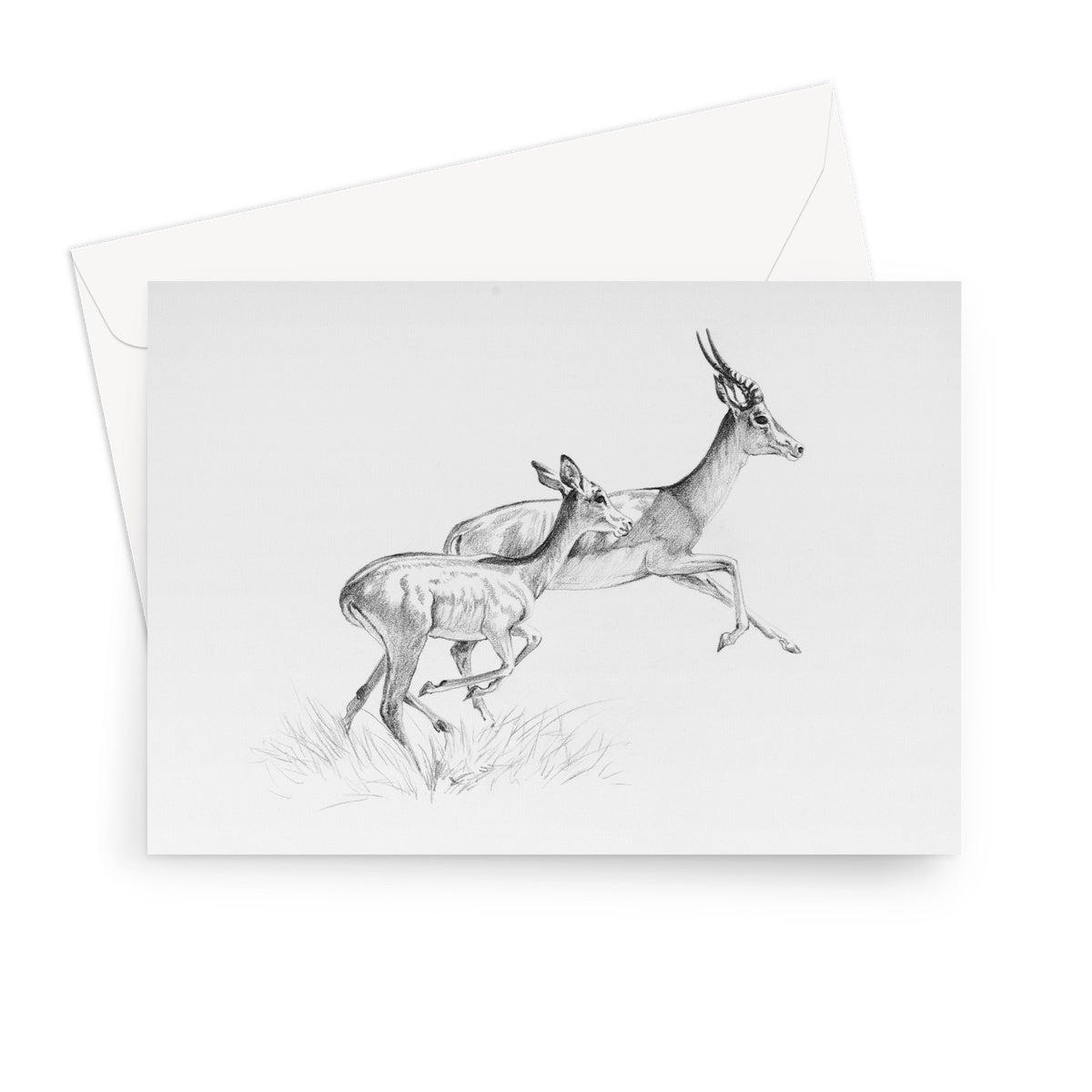 Running Impala Greeting Card