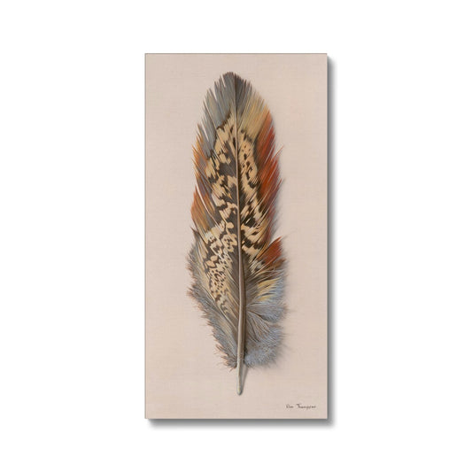 Pheasant Feather Canvas