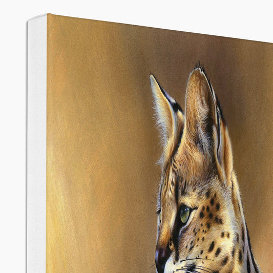 Serval Canvas