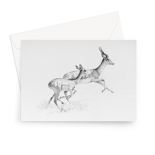 Running Impala Greeting Card