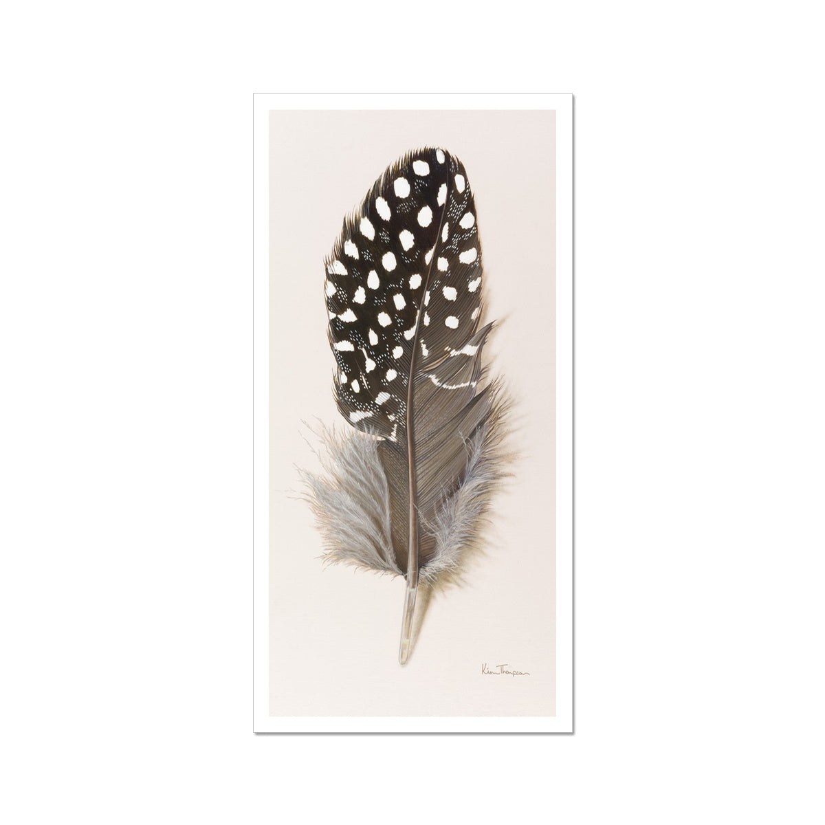 Guinea Fowl Feather Hahnemühle Photo Rag Print