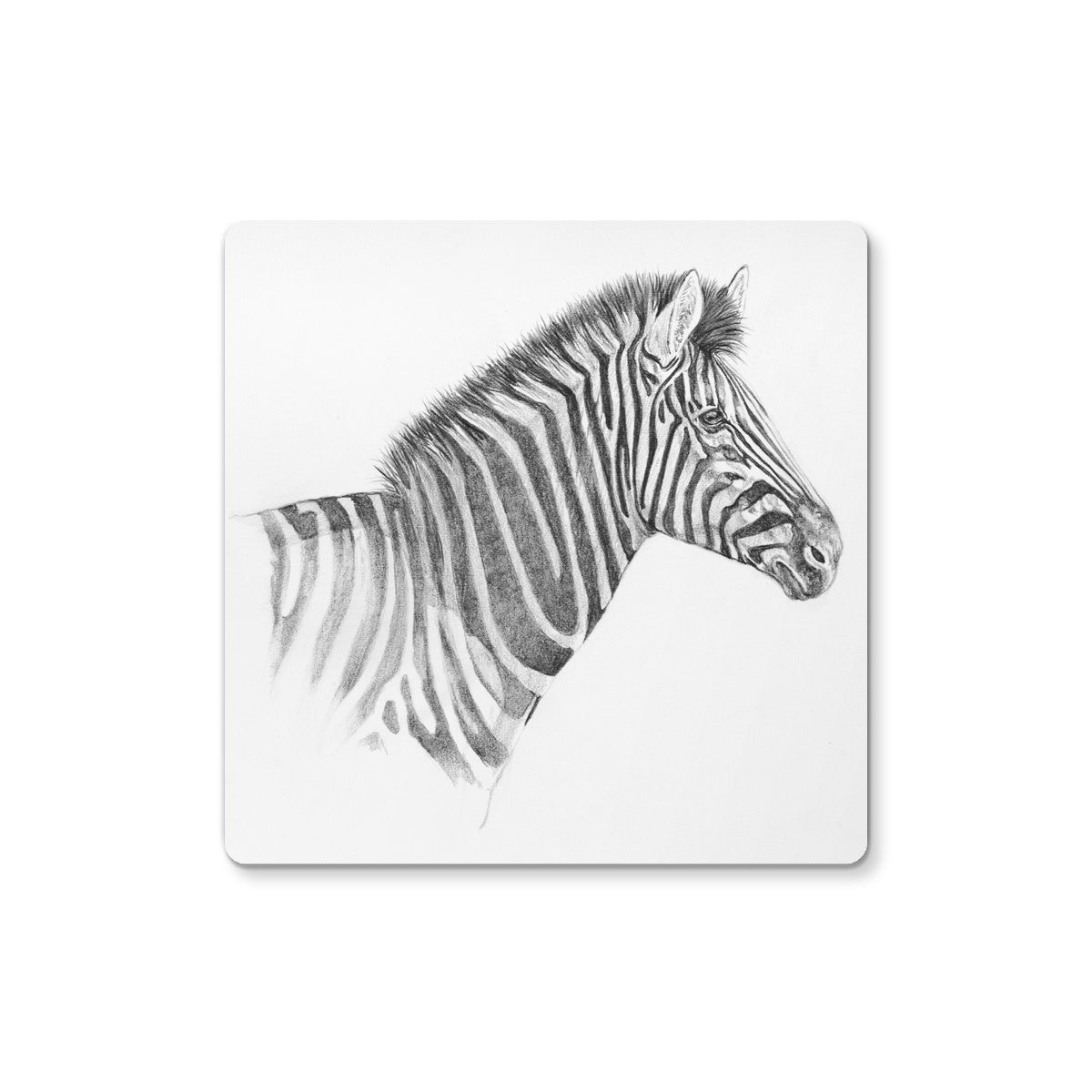 Zebra Portrait Coaster