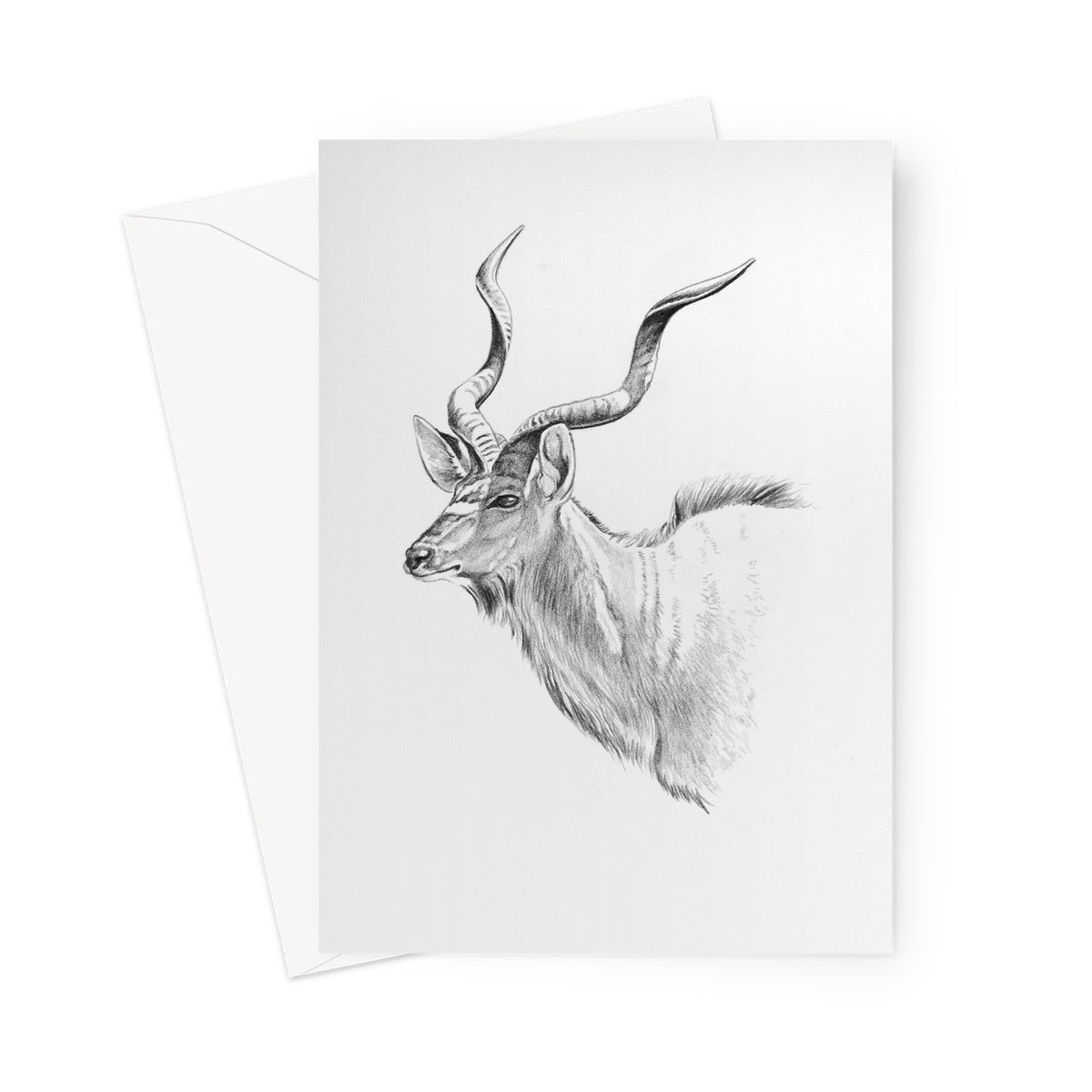 Male Kudu Greeting Card