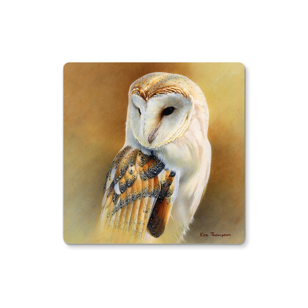 Barn Owl Study Coaster