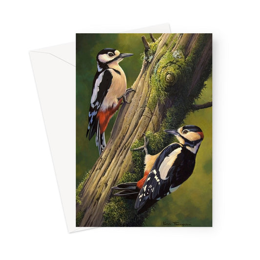Greater Spotted Woodpecker Greeting Card