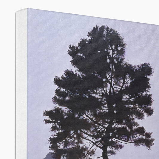 New Forest Mist Canvas