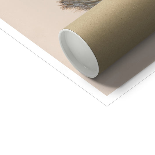 Pheasant Feather Hahnemühle Photo Rag Print